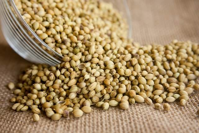 Coriander Seeds Coriander Seeds