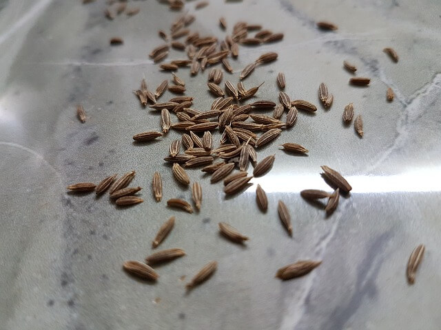Cumin Cumin