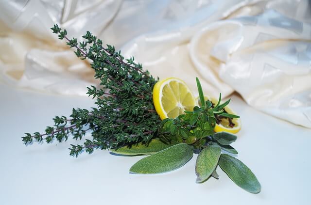 Lemon Thyme Lemon Thyme