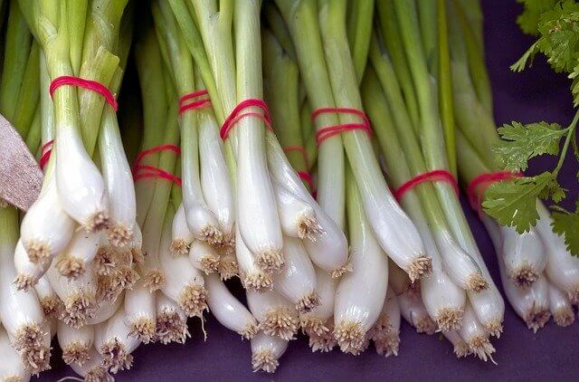 Scallions (Green Onions) Scallions (Green Onions)