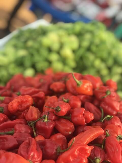 Scotch Bonnet Scotch Bonnet