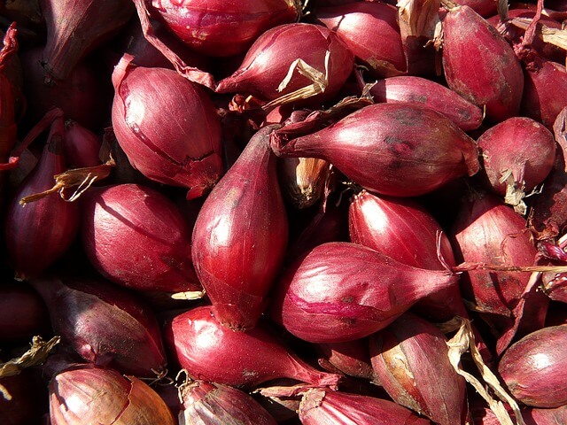 Shallots Shallots