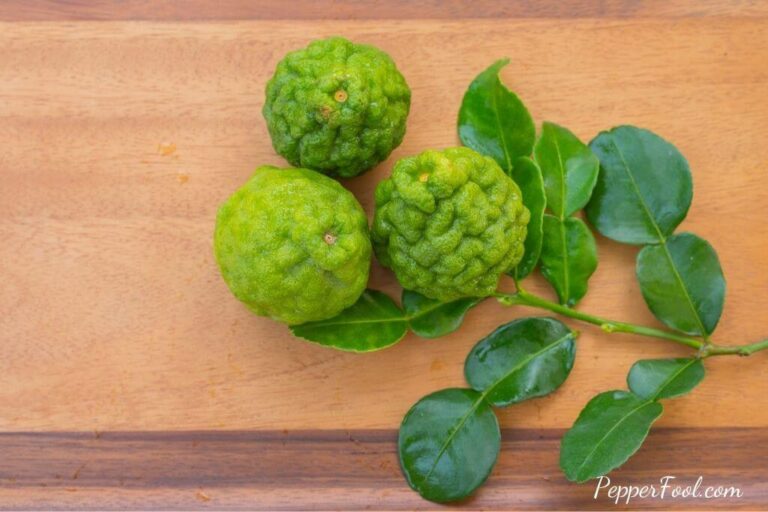 Substitute For Kaffir Lime Leaves