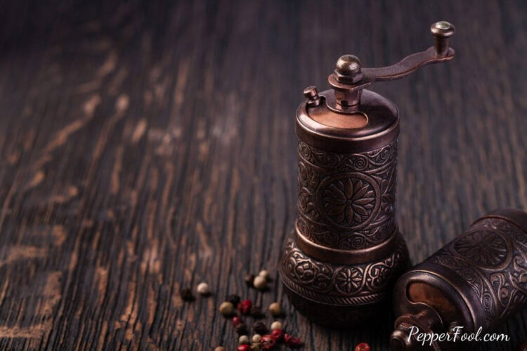 The 12 Best Spice Grinders for Fresh Spices PepperFool