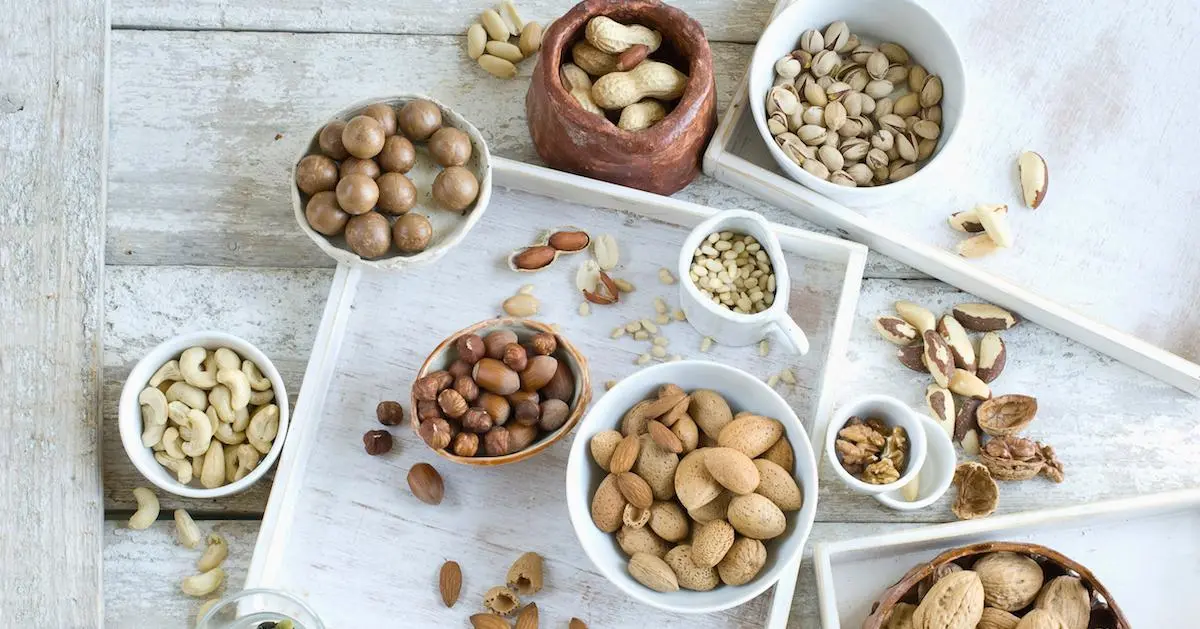 nut protein ranking