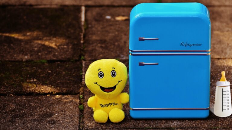 Best Mini Fridge For Baby Bottles