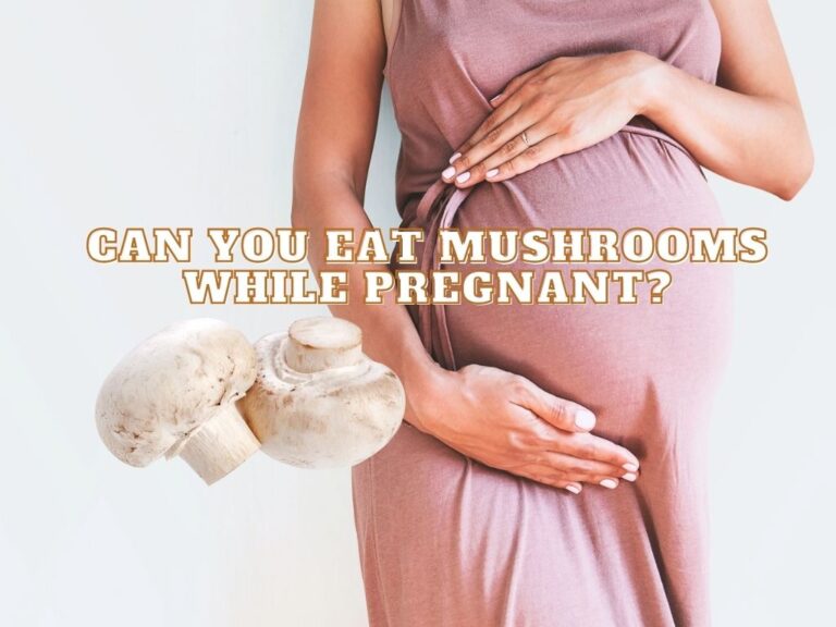 Can You Eat Mushrooms While Pregnant?