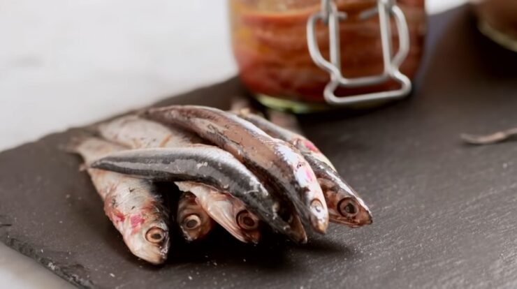 Anchovies