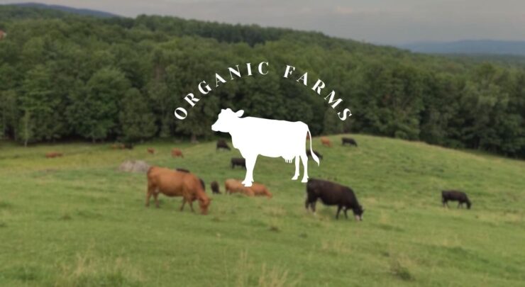 Organic farms